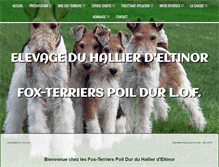 Tablet Screenshot of fox-terriers.fr